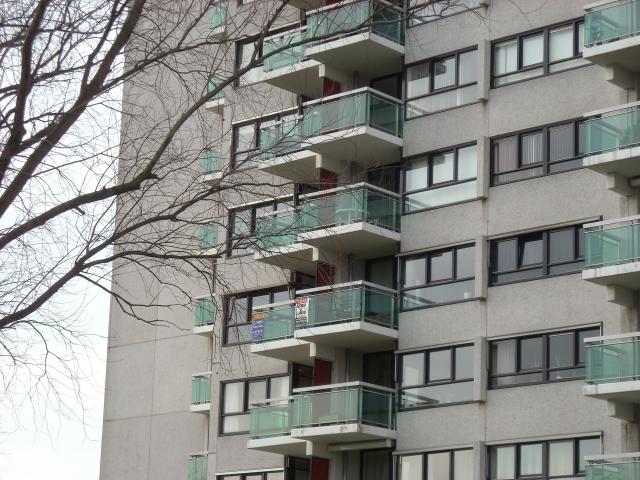 DSCN0431.JPG