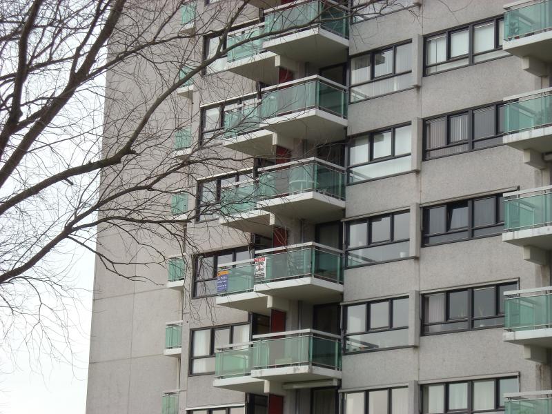 DSCN0431.JPG