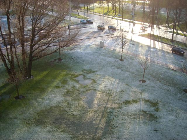 DSCN0311.JPG