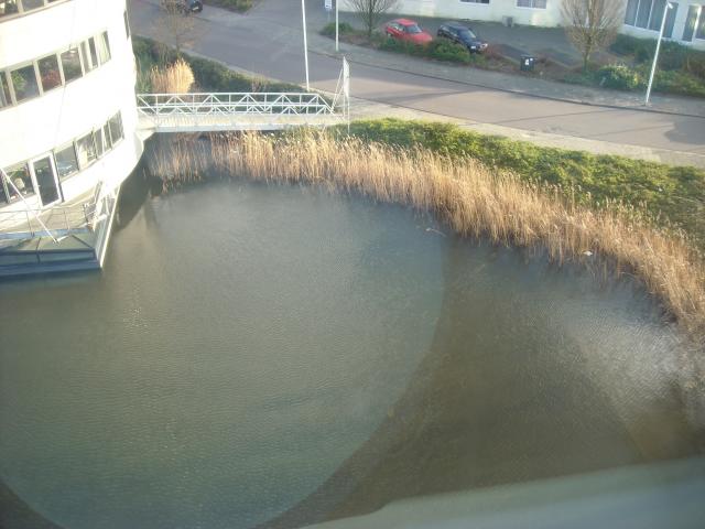 DSCN0302.JPG