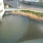 DSCN0302.JPG