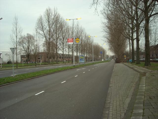 DSCN0451.JPG