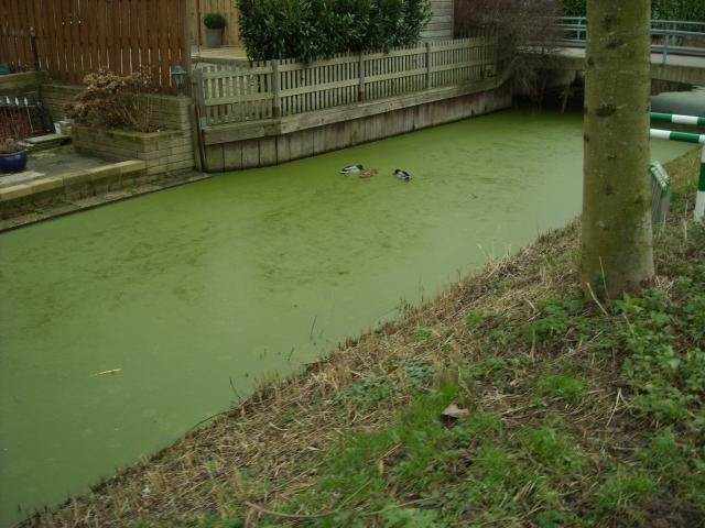 DSCN0456.JPG