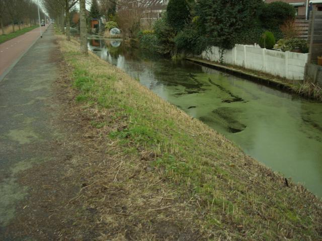DSCN0457.JPG