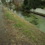 DSCN0457.JPG