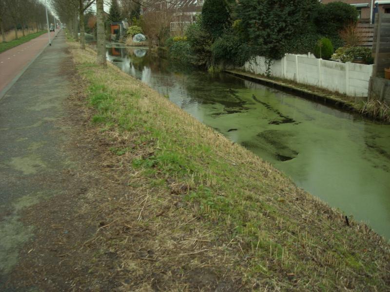 DSCN0457.JPG