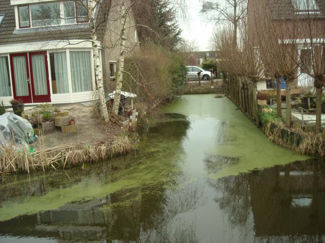 DSCN0458.JPG