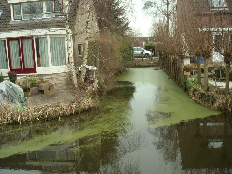 DSCN0458.JPG
