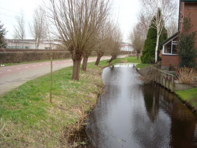 DSCN0462.JPG