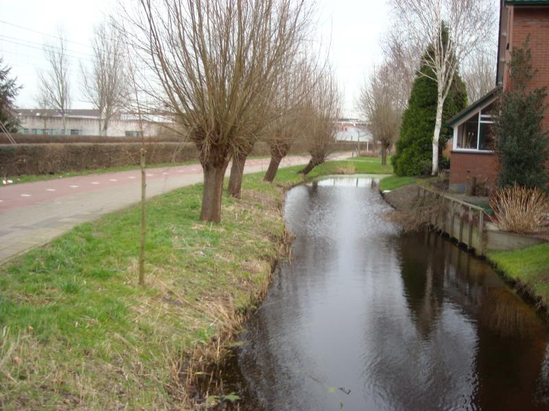DSCN0462.JPG