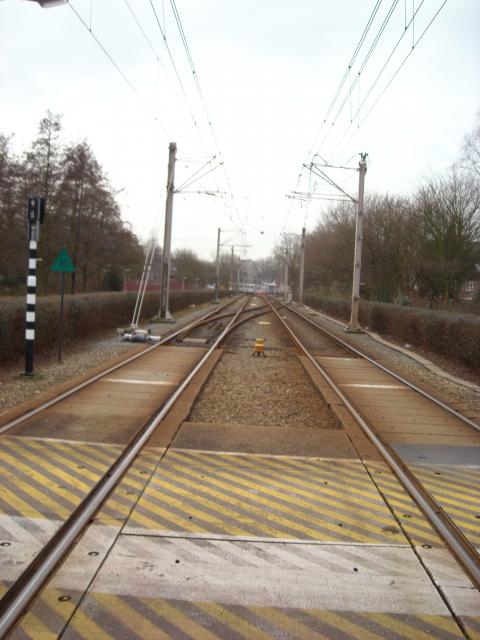 DSCN0463.JPG