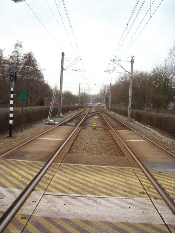 DSCN0463.JPG