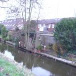 DSCN0464.JPG