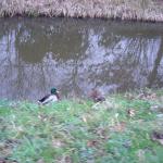 DSCN0470.JPG