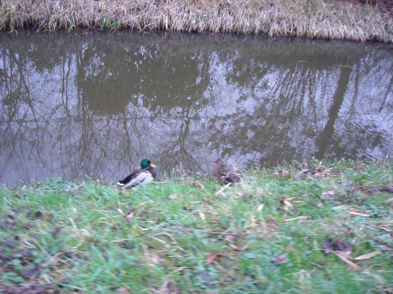 DSCN0470.JPG