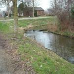 DSCN0472.JPG