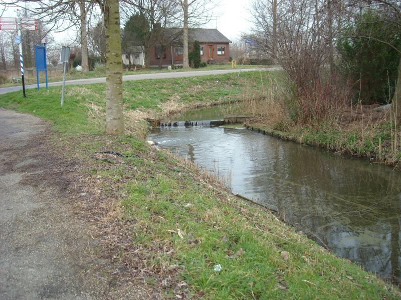 DSCN0472.JPG