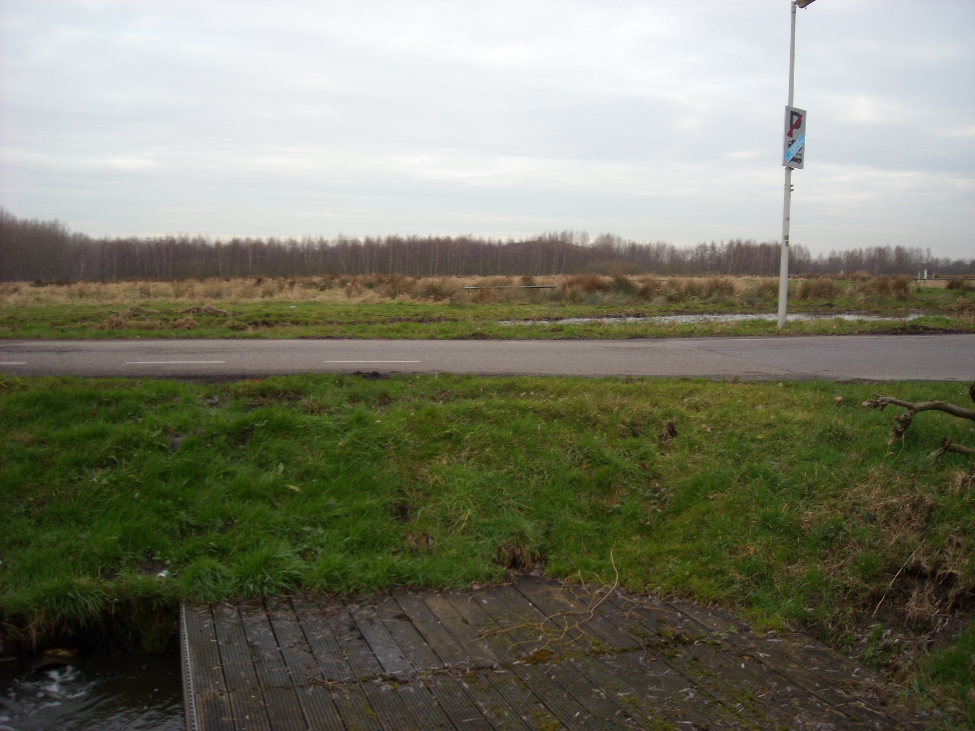 DSCN0473.JPG
