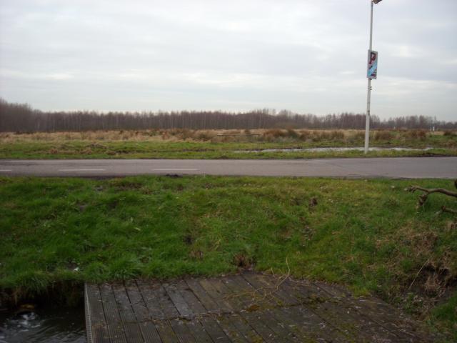 DSCN0473.JPG