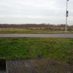 DSCN0473.JPG