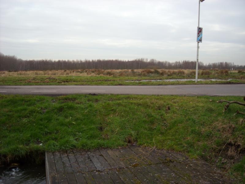 DSCN0473.JPG
