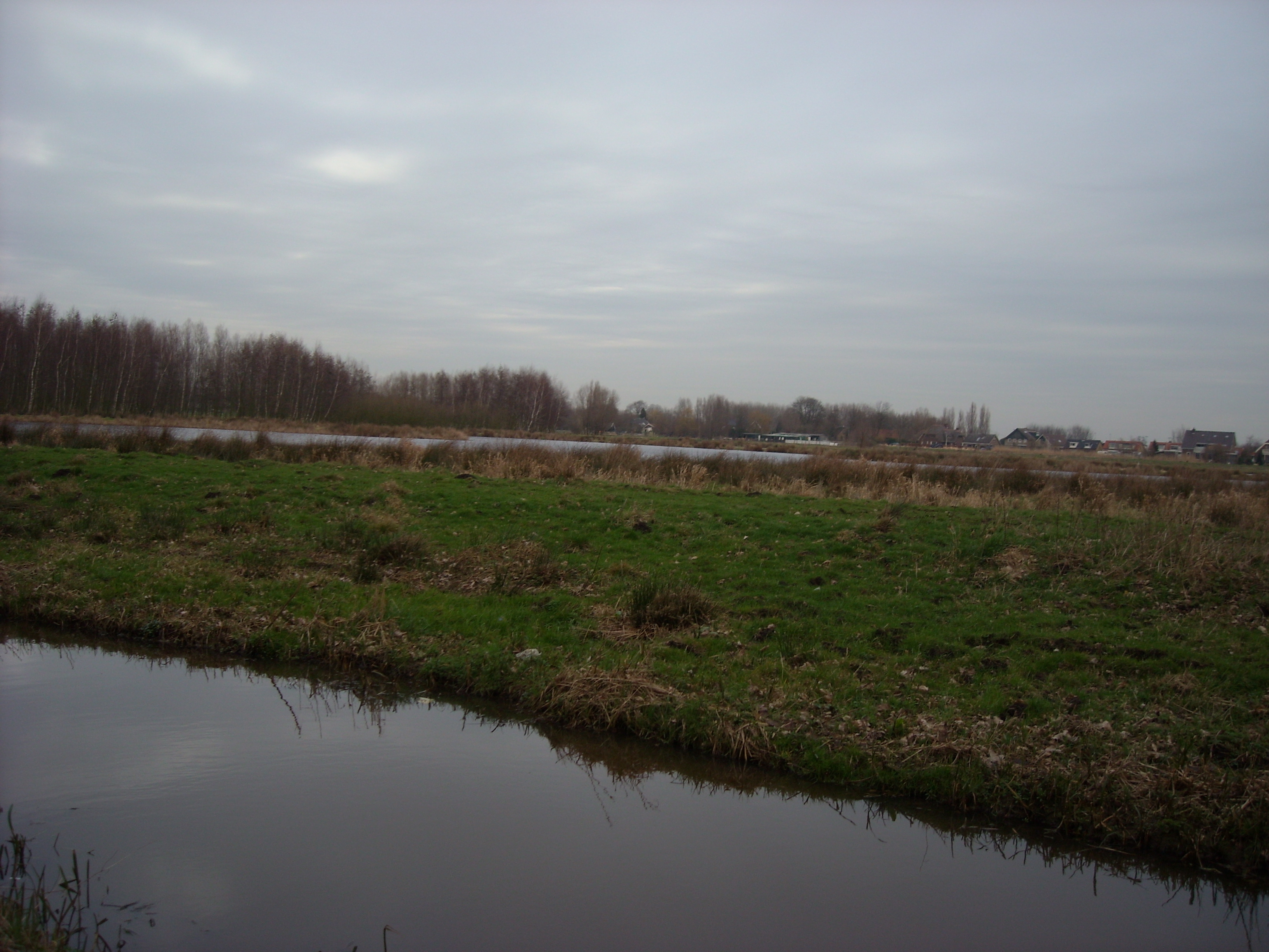 DSCN0474.JPG