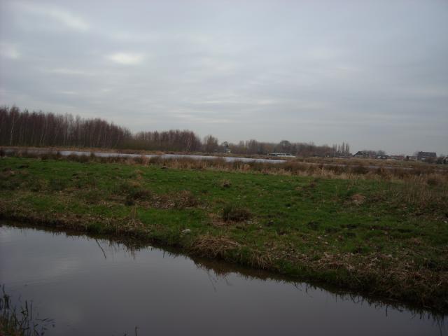 DSCN0474.JPG