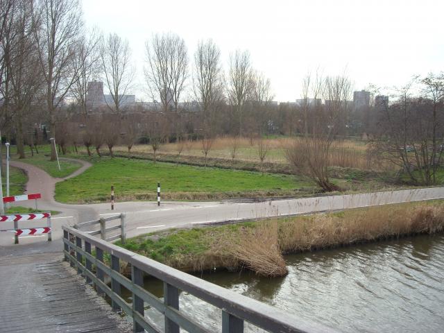 DSCN0486.JPG