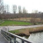 DSCN0486.JPG