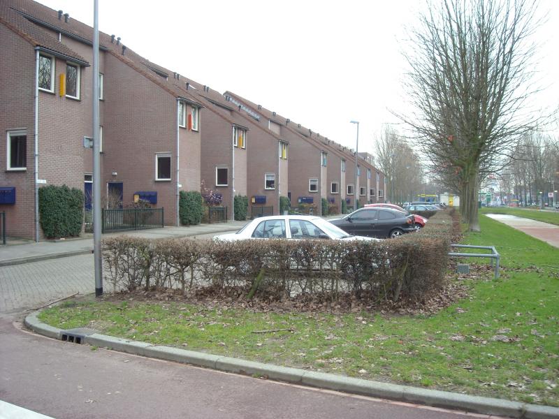 DSCN0497.JPG