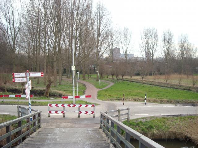 DSCN0487.JPG