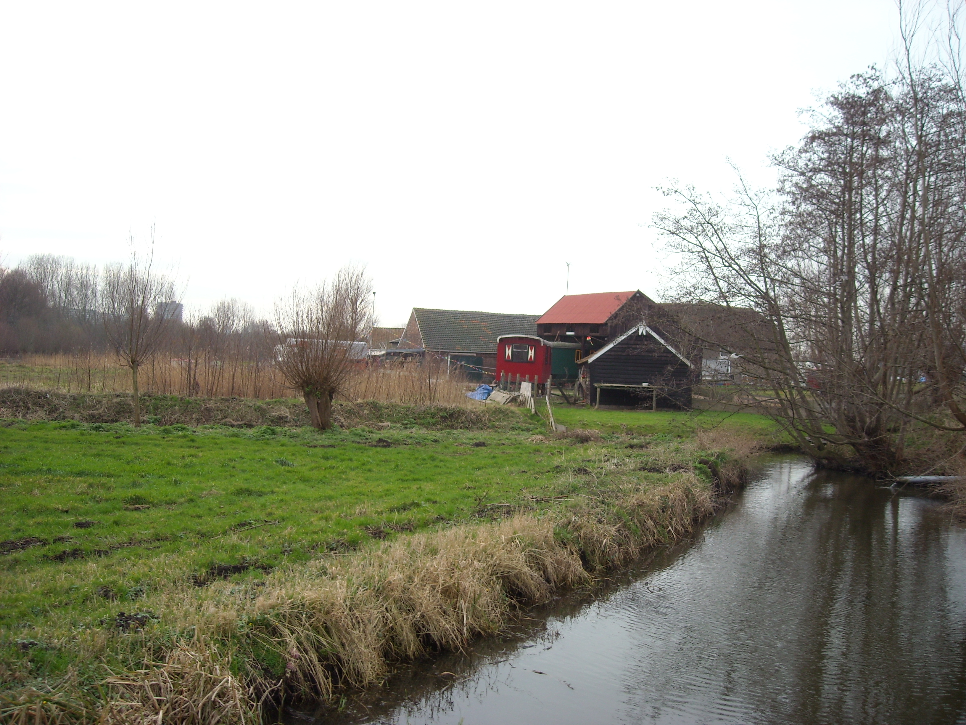 DSCN0488.JPG