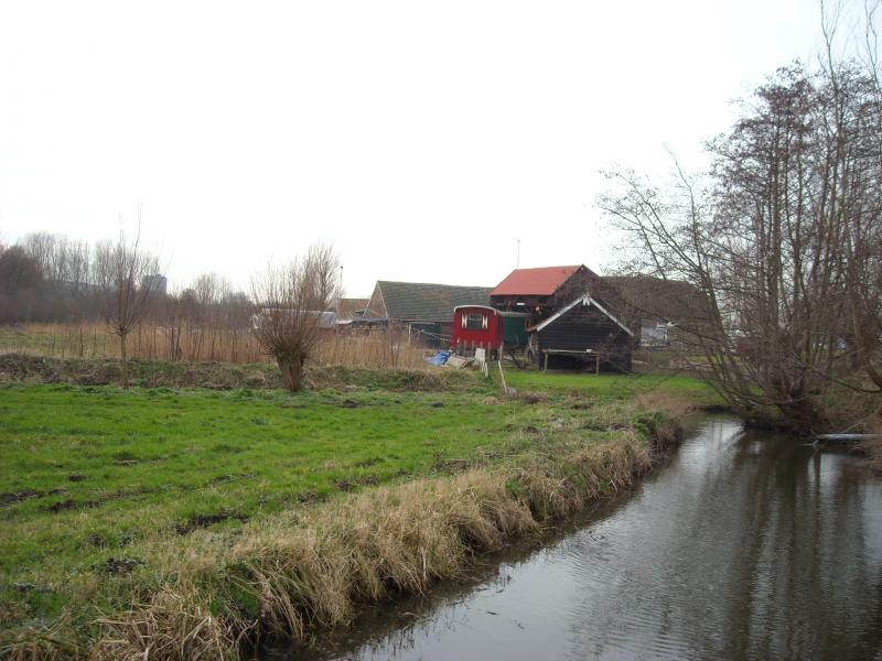 DSCN0488.JPG
