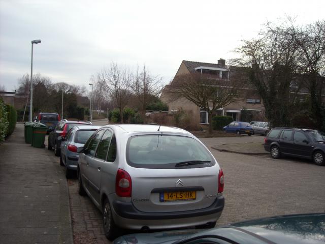 DSCN0490.JPG