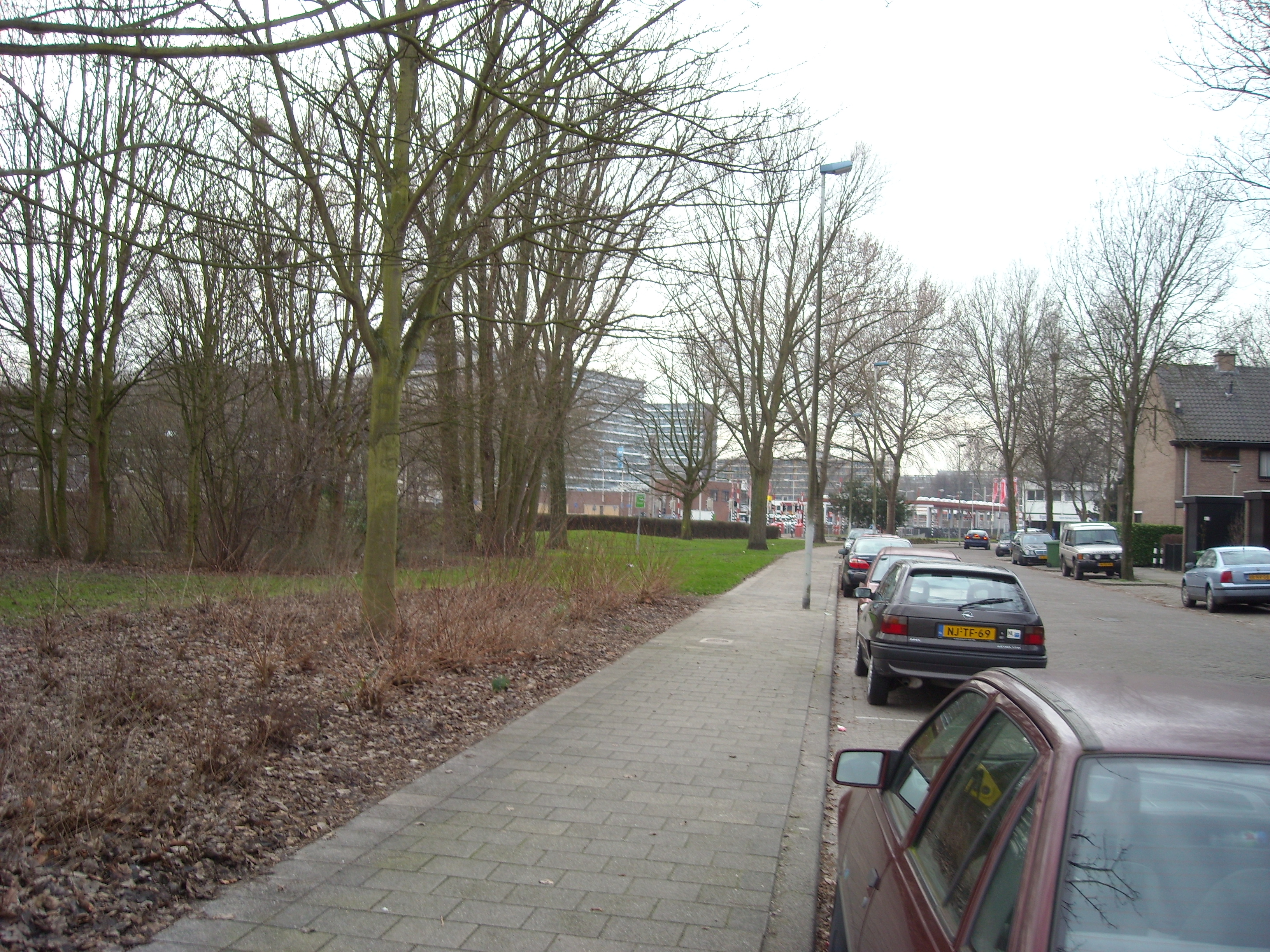 DSCN0491.JPG