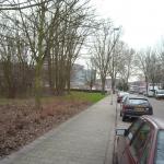 DSCN0491.JPG