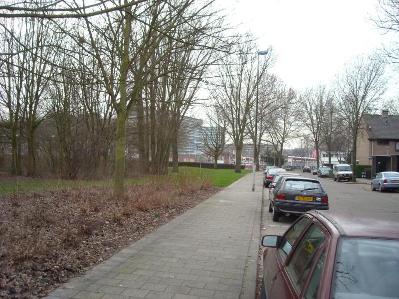 DSCN0491.JPG