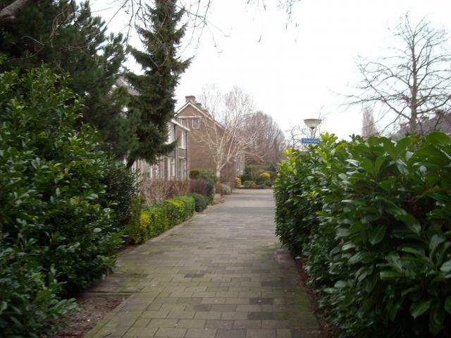 DSCN0493.JPG