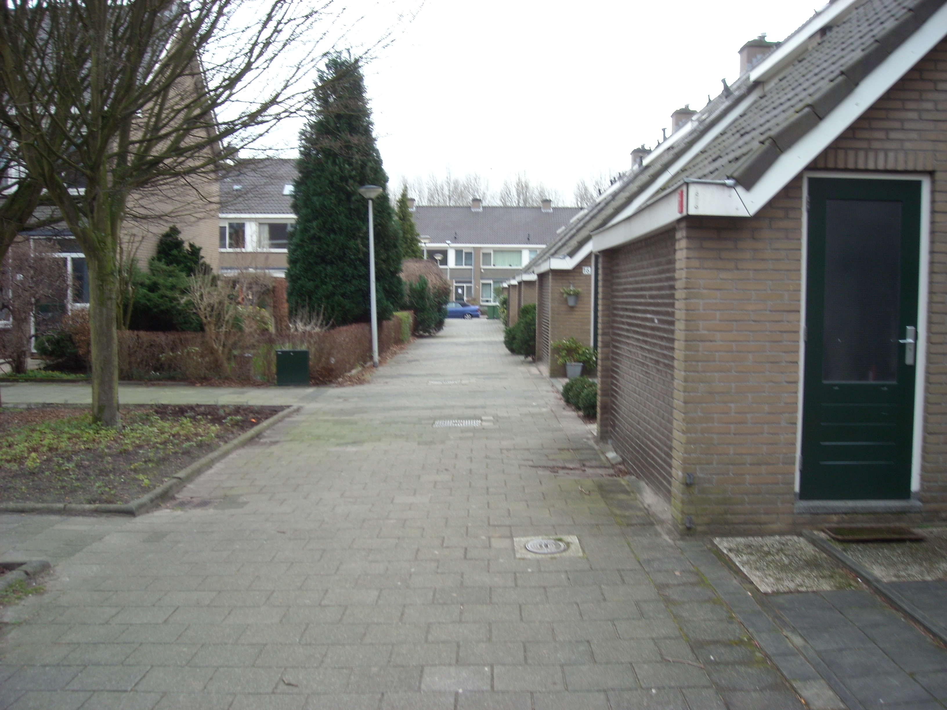 DSCN0494.JPG