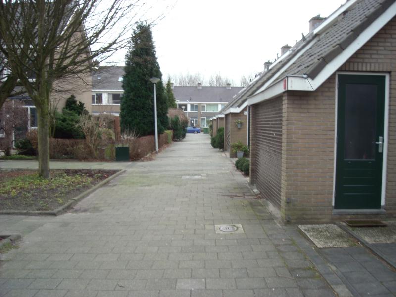 DSCN0494.JPG