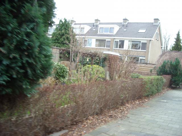 DSCN0495.JPG