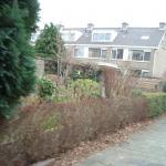 DSCN0495.JPG