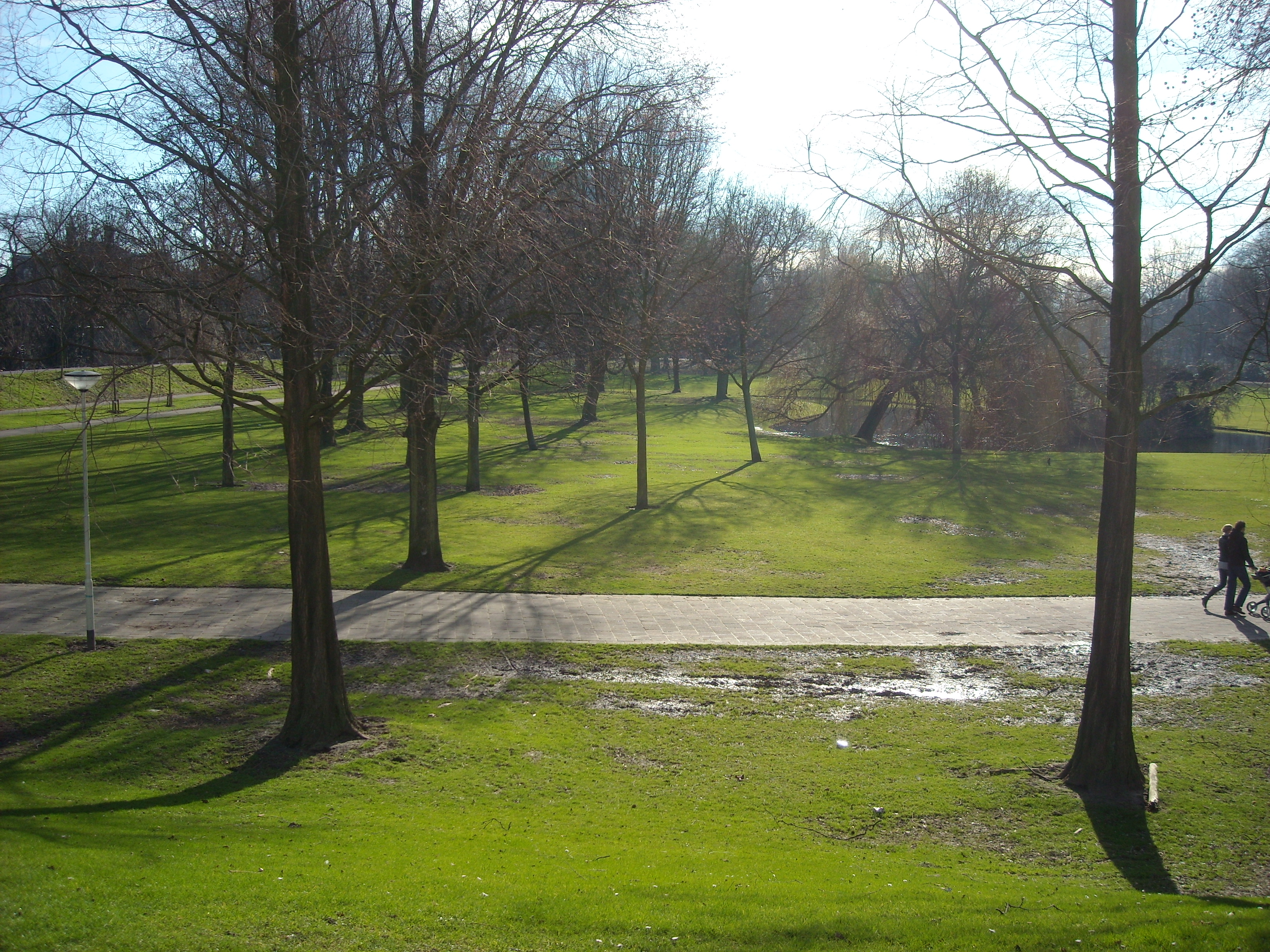Park a toronynál