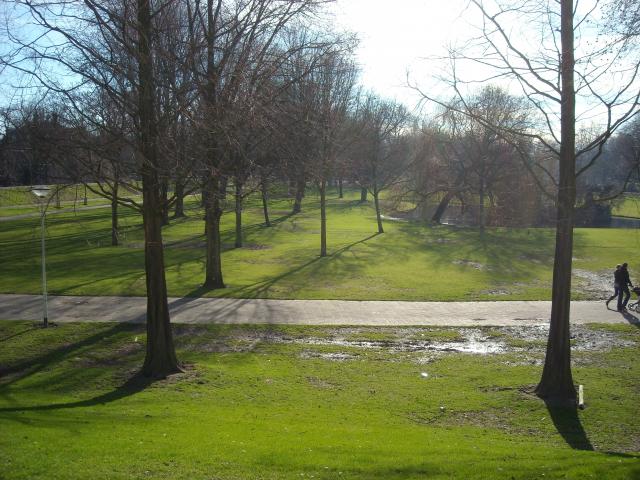 Park a toronynál