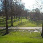 Park a toronynál