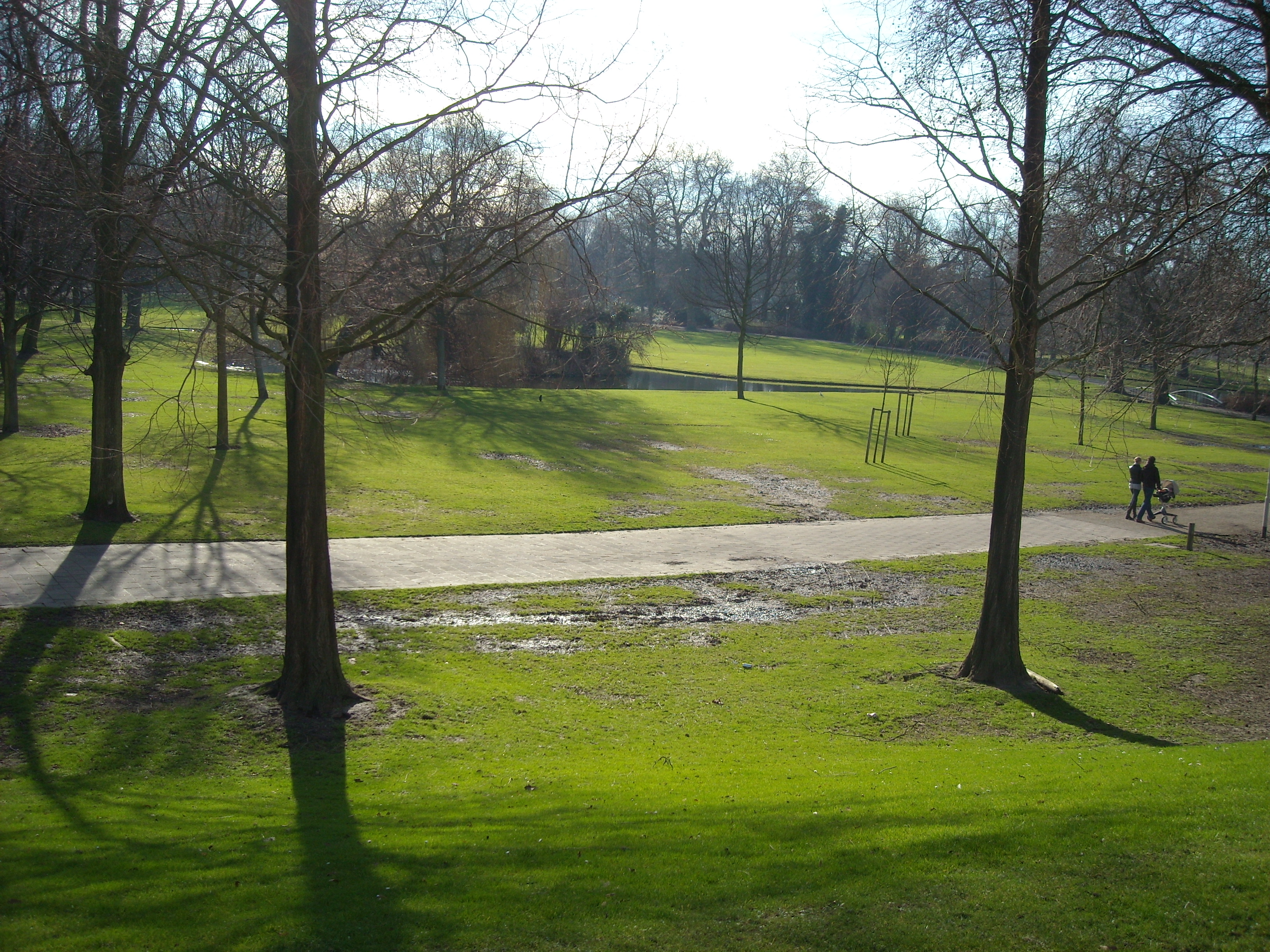 Park a toronynál