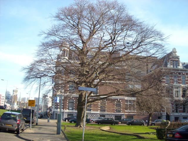 DSCN0560.JPG