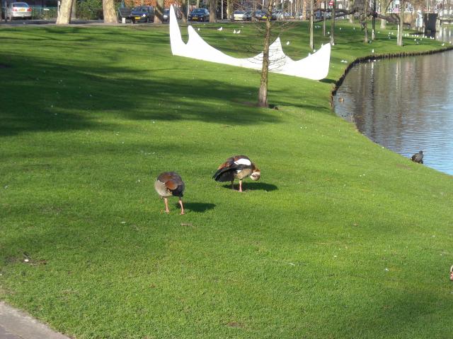 DSCN0569.JPG