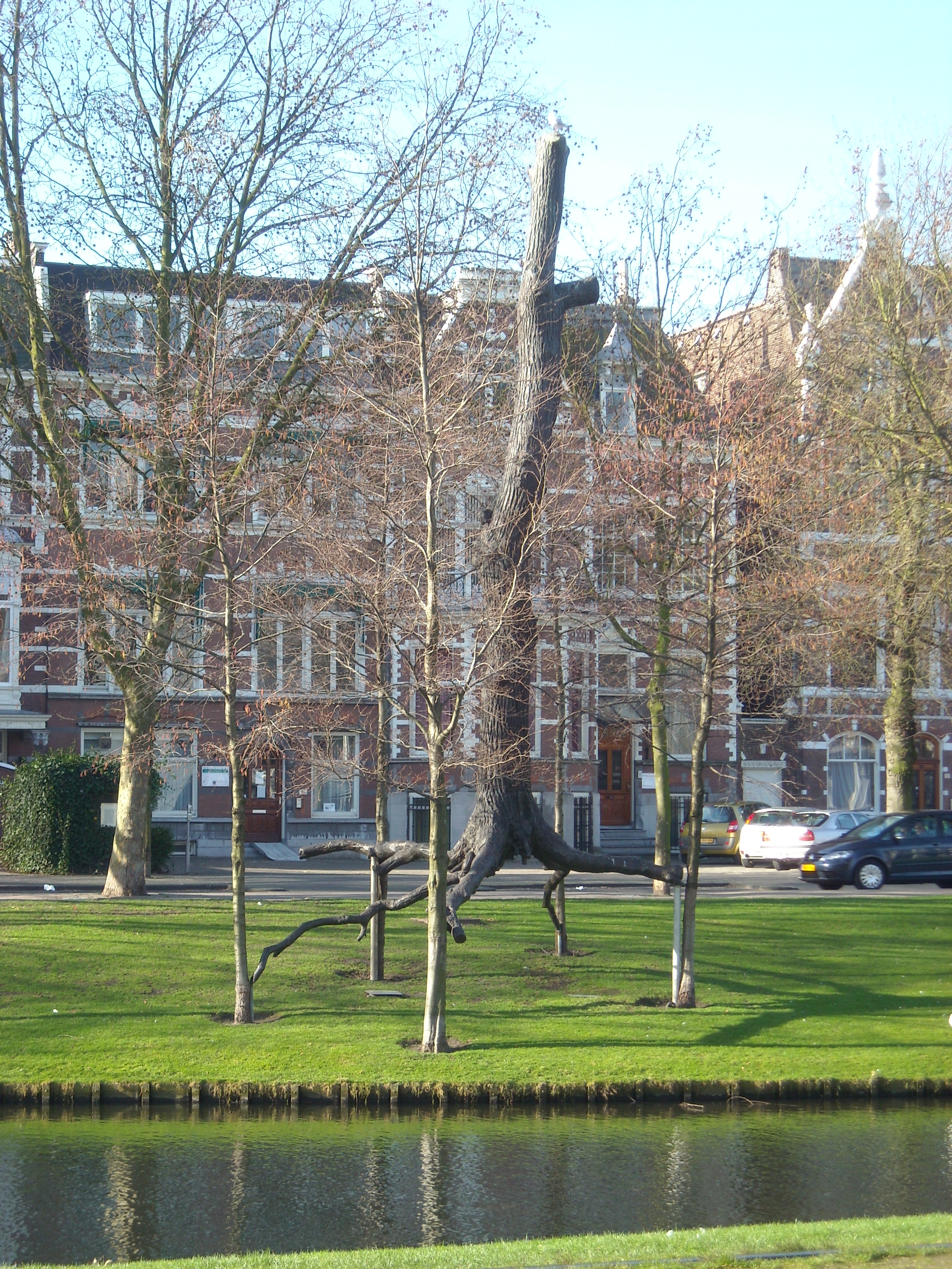 DSCN0573.JPG