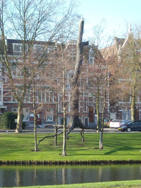 DSCN0573.JPG